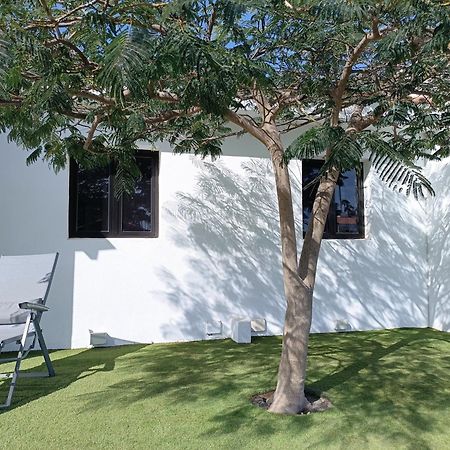 Cozy Colorado Pool View #3 Maspalomas (Gran Canaria) Exterior foto