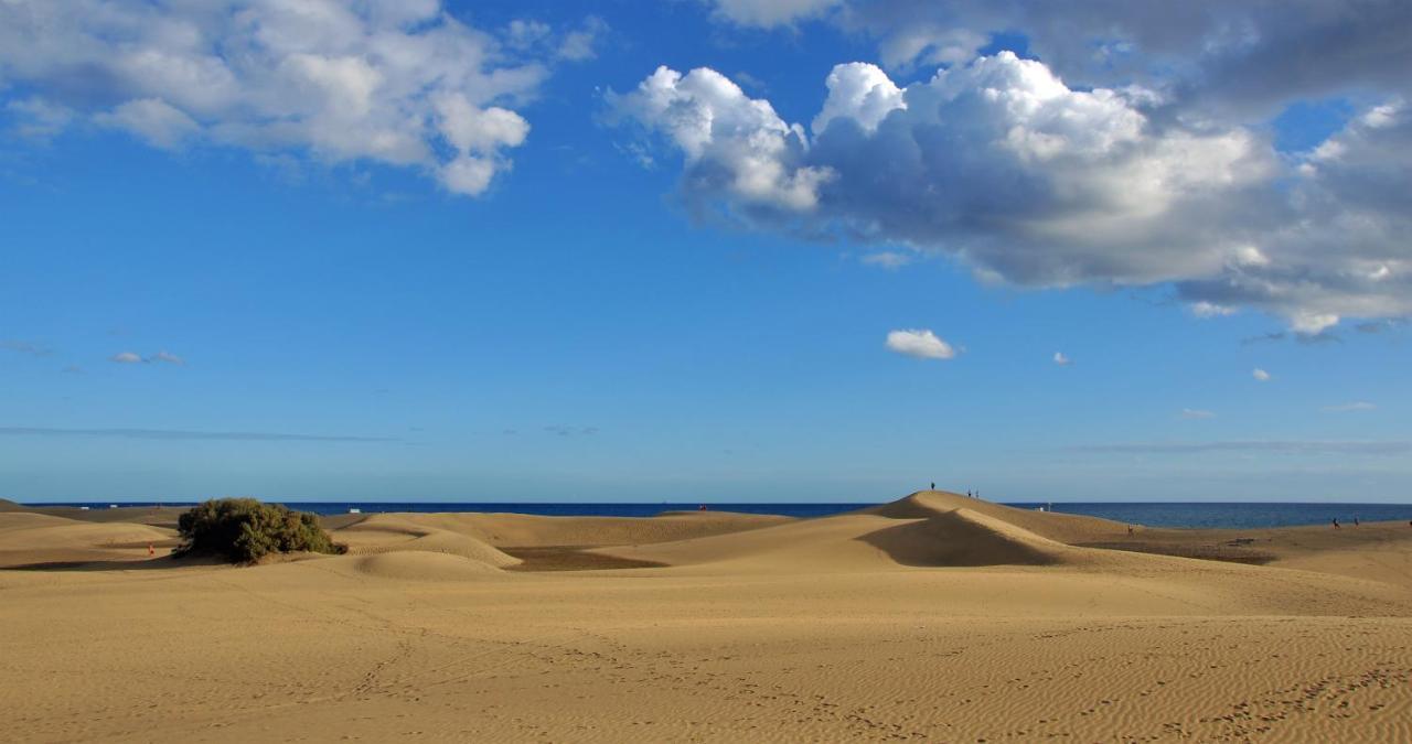 Cozy Colorado Pool View #3 Maspalomas (Gran Canaria) Exterior foto